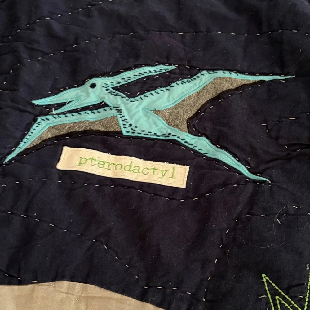 Pottery Barn Kids Dinosaur Quilt Set Full Queen Navy Blue T-Rex 3pc Bedding